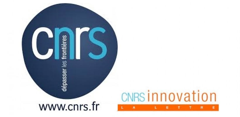 CNRS INNOVATION : Biosolver - une première dans le domaine médical
